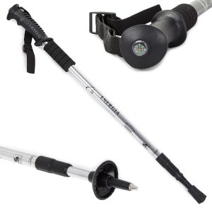 Nordic Walking Stock