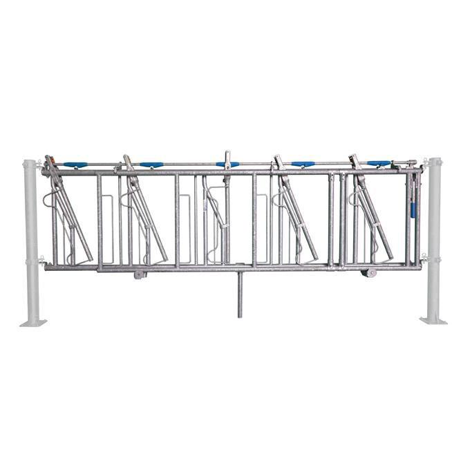 Selbstfangfressgitter Bovilib 5 Plätze auf 4 Meter