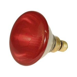 Infrarot-Sparlampe 175 W