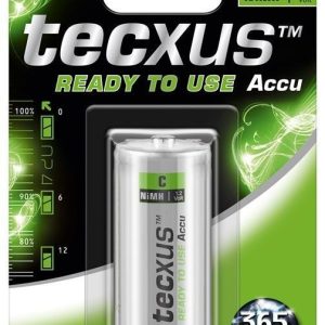 1 Stück Baby (C)-Akku. 4500mAH tecxus. ready to use