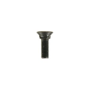 Scharschraube m. Vierkantansatz M10x30