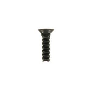 Scharschraube m. Vierkantansatz M10x35