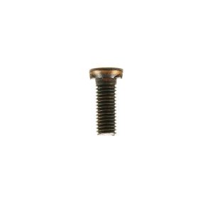 Scharschraube mit Zweinasenansatz M10x30