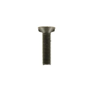 Scharschraube mit Zweinasenansatz M10x40