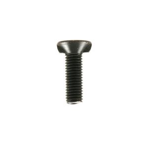 Scharschraube mit Zweinasenansatz M12x40