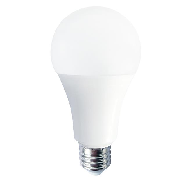 LED-Lampe Globe 14 W