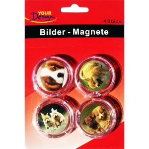 4 Bilder – Magnete zum selbst gestalten