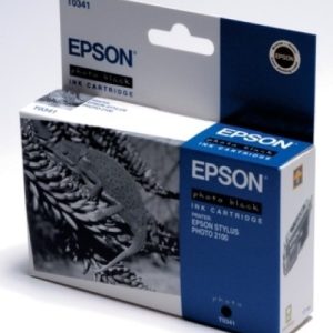original Epson Tintenpatrone schwarz Art TPE341