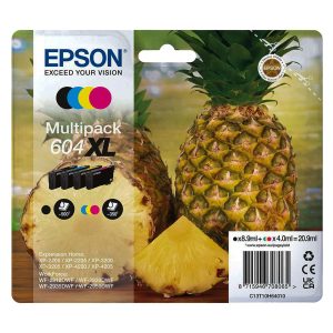 original Epson Multipack T10H6 604XL