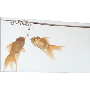 Akustikbild, Querformat, B 800 x H 1600 mm, Schallabsorptionsklasse A, 2-lagig, Polyestervlies & Aluminium, Motiv Goldfische Akustikbild, Querformat, B 800 x H 1600 mm, Schallabsorptionsklasse A, 2-lagig, Polyestervlies & Aluminium, Motiv Goldfische