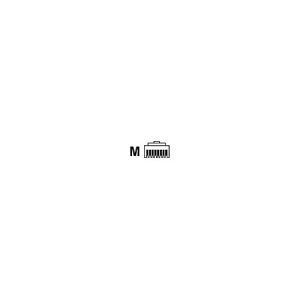 BTR – Netzwerkanschluss – RJ-45 (M) – CAT 6a – 180° Stecker BTR – Netzwerkanschluss – RJ-45 (M) – CAT 6a – 180° Stecker