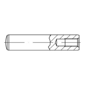 DIN 7979 Zylinderstifte mit Innengewinde Stahl D 4 x 14 S