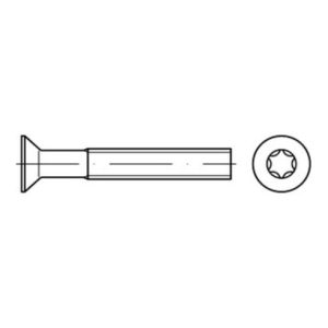 DIN 965 Form CE Senkkopfschraube M2x6 Edelstahl A4 blank T6