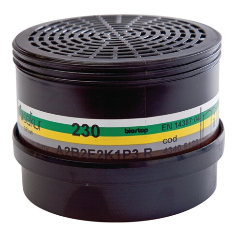 Ekastu Mehrbereichs-Kombifilter 230 A2B2E2K1-P3R D