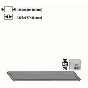 Fachboden Standard für asecos Druckgasflaschenschränke, Stahlblech, lichtgrau, B 1239 x T 380 x H 30 mm, bis 75 kg Fachboden Standard für asecos Druckgasflaschenschränke, Stahlblech, lichtgrau, B 1239 x T 380 x H 30 mm, bis 75 kg