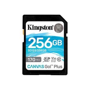 Kingston Canvas Go! Plus – Flash-Speicherkarte – 256 GB – SDXC UHS-I
