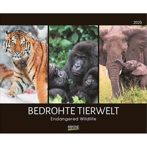 Korsch Fotokalender ‚Bedrohte Tierwelt 2025‘, B 550 x H 455 mm Korsch Fotokalender ‚Bedrohte Tierwelt 2025‘, B 550 x H 455 mm