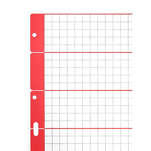 LEITZ® Karton Register, zur freien Verwendung, mit Rasteraufdruck