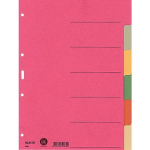 LEITZ® Register Blanko, 6 Taben, zur freien Verwendung, einzeln