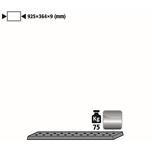 Lochblecheinsatz Standard für asecos Sicherheitsschränke der UB90 Serie, Edelstahl 1.4016, B 925 x T 364 x H 9 mm, bis 75 kg