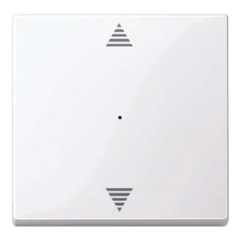 Merten Wippe aws/gl 1f,Pfeile,Syst.M MEG5215-0325