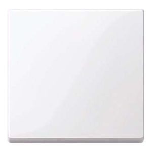 Merten Wippe aws/gl 432125 Merten Wippe aws/gl 432125