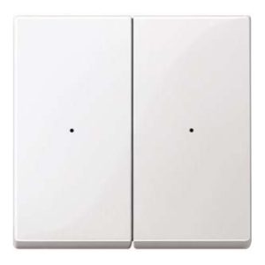 Merten Wippe pws/gl 2fach,Syst.M MEG5220-0319