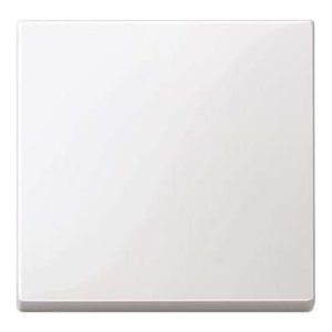 Merten Wippe pws/gl 432119 Merten Wippe pws/gl 432119