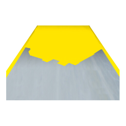 Moravia Hallenmarkierfarbe PROline-paint 5 l gelb RAL 1003