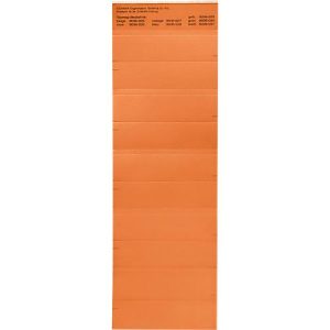 Organisationsstreifen, orange