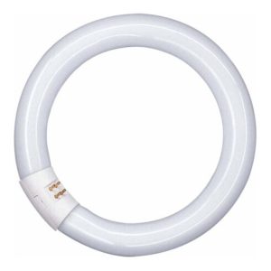 OSRAM LAMPE Leuchtstofflampe G10q ringförmig L 32W/840 C OSRAM LAMPE Leuchtstofflampe G10q ringförmig L 32W/840 C