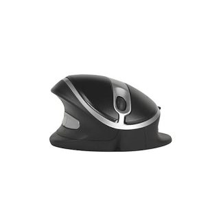 Oyster Mouse Wireless, kabellos, 5 Neigungswinkel, 5 Tasten Oyster Mouse Wireless, kabellos, 5 Neigungswinkel, 5 Tasten