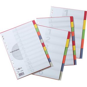 PAGNA Kartonregister mit Deckblatt, zur freien Verwendung, 5 Blätter, 5-farbig