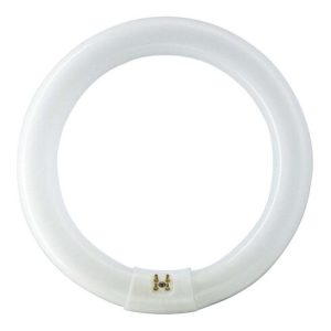 Philips Lighting Leuchtstofflampe 32W nws ringförmig TL-E 32W/840 Philips Lighting Leuchtstofflampe 32W nws ringförmig TL-E 32W/840