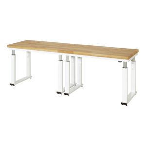 Rau Werkbank elektrisch höhenverstellbar, B2500xT700xH740-1140mm, B-Platte-40 mm