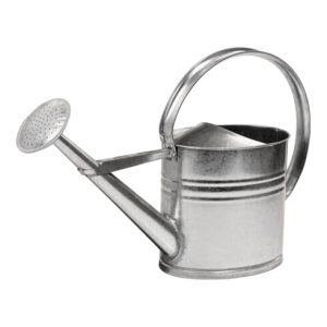 Reflex Gießkanne 10l silber MET verz. Reflex Gießkanne 10l silber MET verz.