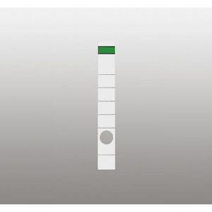 Rückenschild, Rückenbreite 39 mm, selbstklebend, 10 Stück, weiß