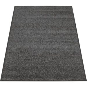 Schmutzfangmatte EAZYCARE, 1200 x 1800 mm, grau
