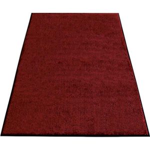 Schmutzfangmatten Eazycare Aqua, schnelltrocknend, farb- & UV-beständig, B 1200 x L 2400 mm, Olefin, rot