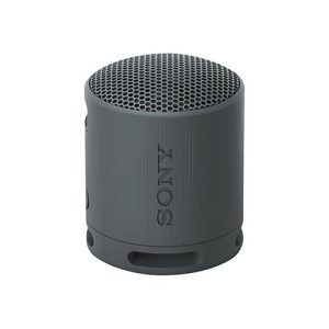 Sony SRS-XB100 – Lautsprecher – tragbar – kabellos – Bluetooth – App-gesteuert