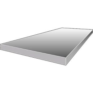 Stahlpaneel WR 600, T 800 x L 2200 mm