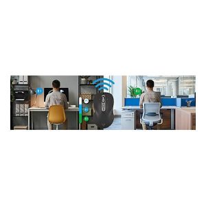 V7 MW600BT – Maus – optisch – 7 Tasten – kabellos – Bluetooth, 2.4 GHz
